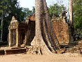 Angkor Ta Prohm P0155